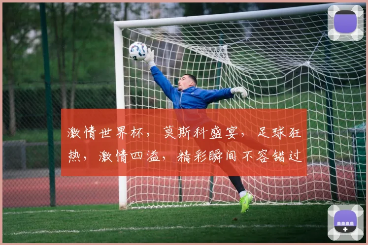 激情世界杯，莫斯科盛宴，足球狂热，激情四溢，精彩瞬间不容错过，尽在莫斯科