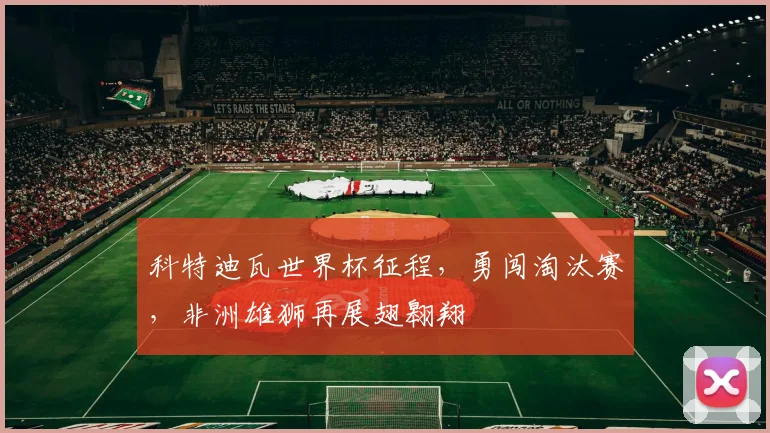 科特迪瓦世界杯征程，勇闯淘汰赛，非洲雄狮再展翅翱翔