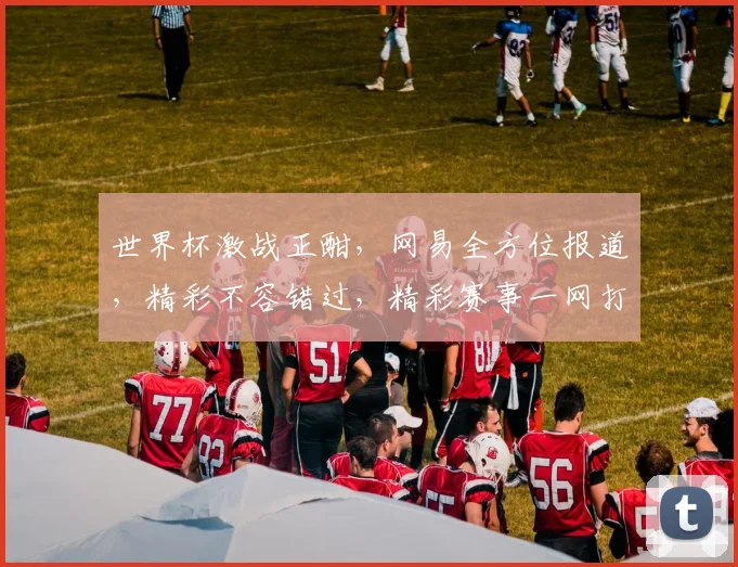 世界杯激战正酣，网易全方位报道，精彩不容错过，精彩赛事一网打尽